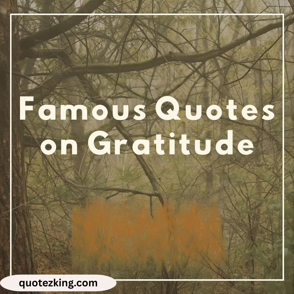 Famous Quotes on Gratitude