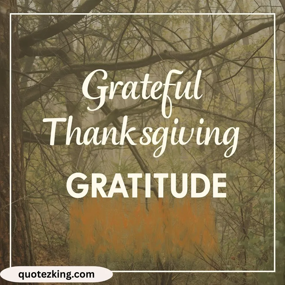 Grateful Thanksgiving Quotes on Gratitude