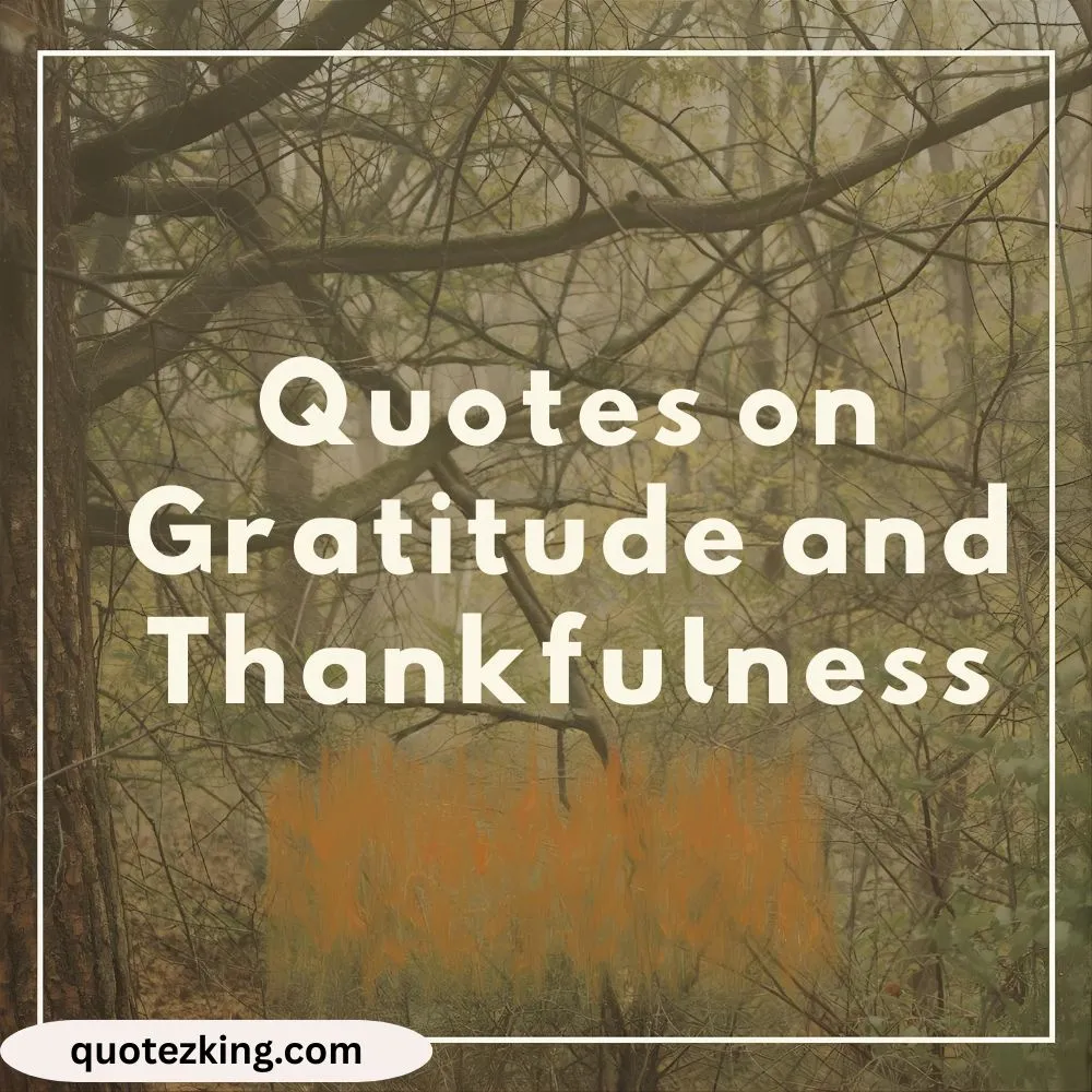 Quotes on Gratitude and Thankfulness