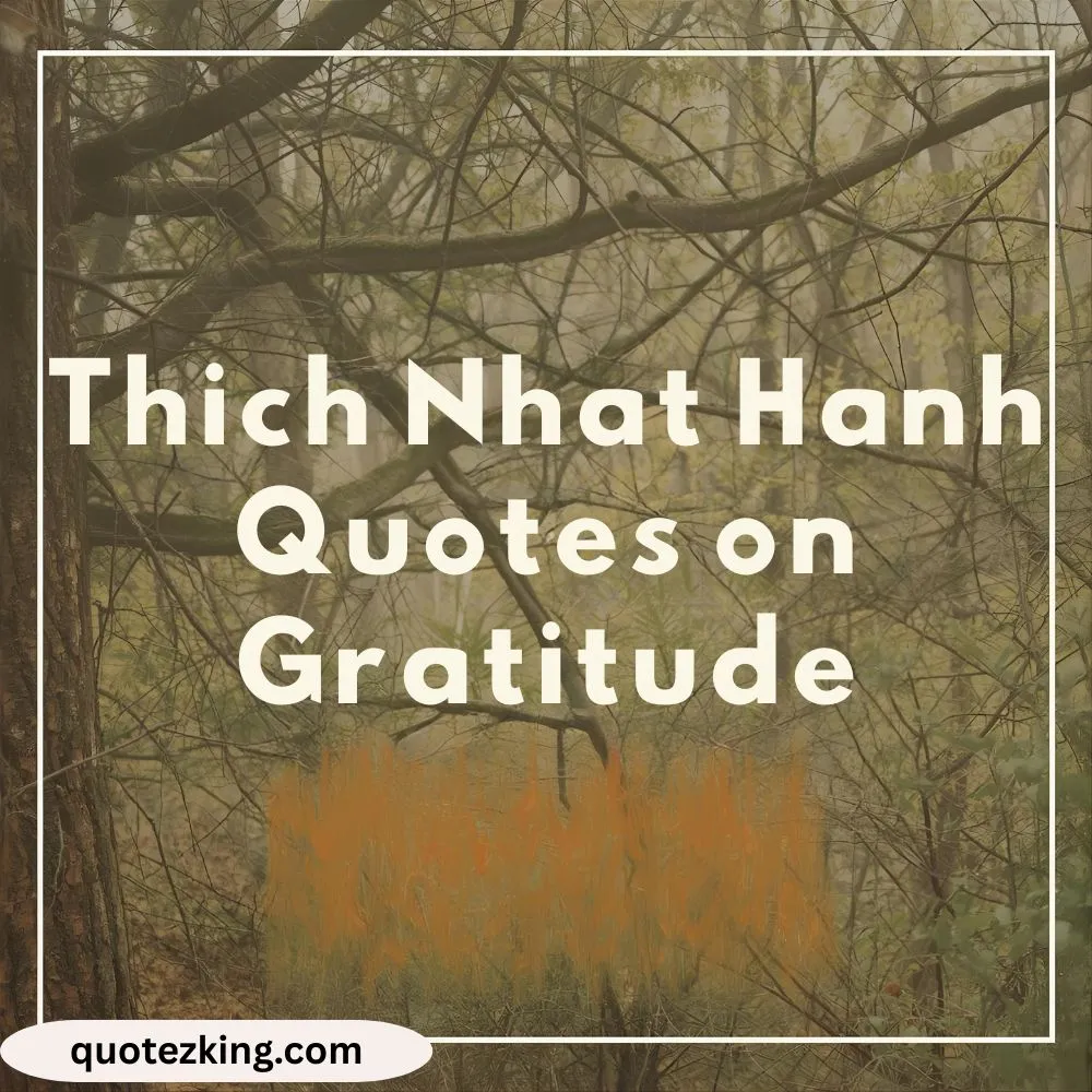 Thich Nhat Hanh Quotes on Gratitude