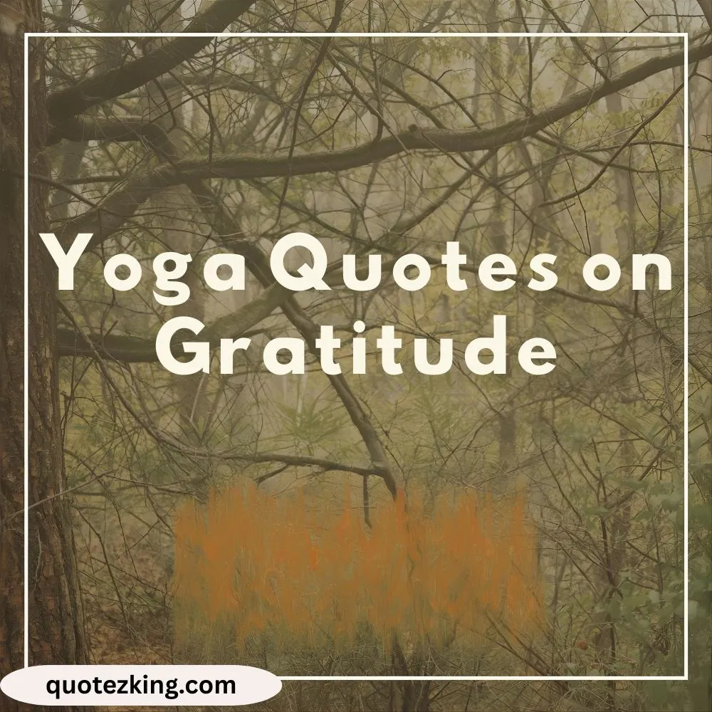 Yoga Quotes on Gratitude