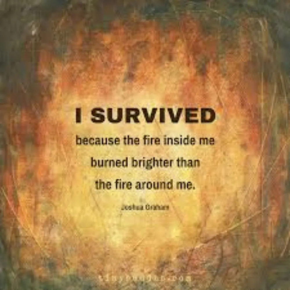 Joshua Graham Quotes I Survived