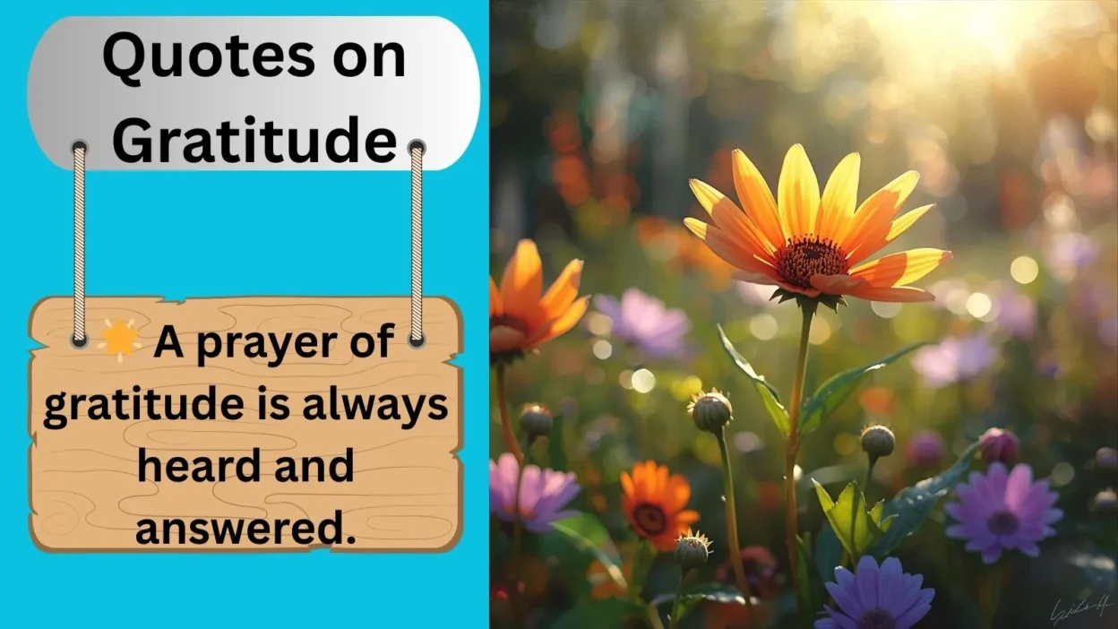 Quotes on Gratitude