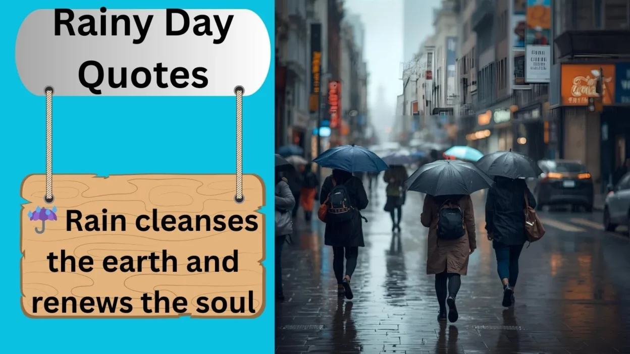 Rainy Day Quotes